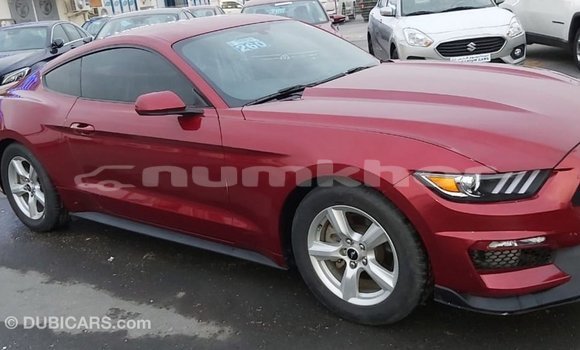 Buy Import Ford Mustang Red Car in Import - Dubai in Bumthang Buy Import Ford Mustang Red Car in Import - Dubai in Bumthang