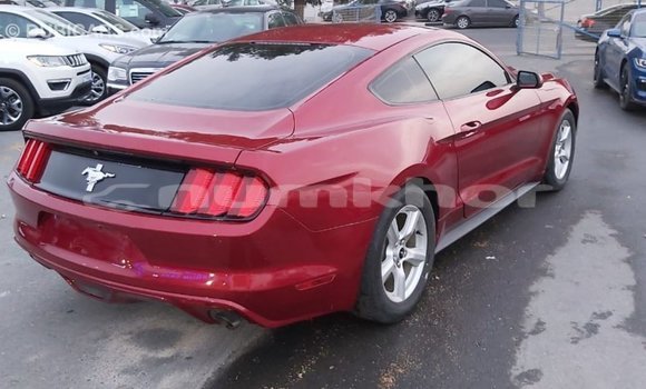 Buy Import Ford Mustang Red Car in Import - Dubai in Bumthang Buy Import Ford Mustang Red Car in Import - Dubai in Bumthang