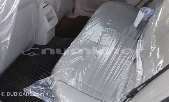 Buy Import Volkswagen Passat Blue Car in Import - Dubai in Bumthang Buy Import Volkswagen Passat Blue Car in Import - Dubai in Bumthang