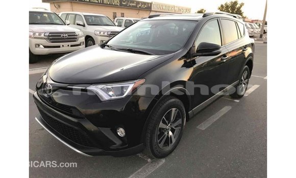 Buy Import Toyota RAV4 Black Car in Import - Dubai in Bumthang Buy Import Toyota RAV4 Black Car in Import - Dubai in Bumthang