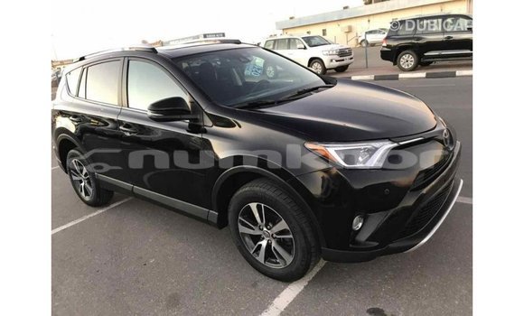 Buy Import Toyota RAV4 Black Car in Import - Dubai in Bumthang Buy Import Toyota RAV4 Black Car in Import - Dubai in Bumthang
