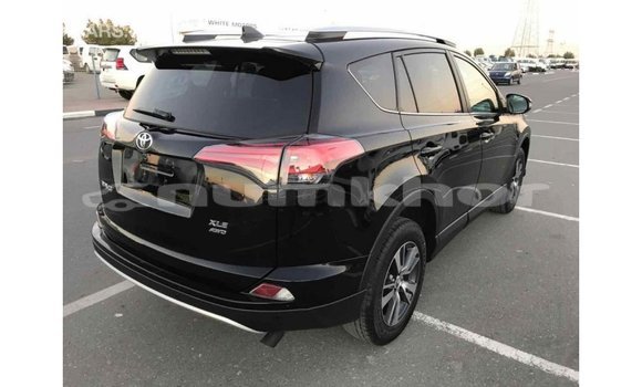 Buy Import Toyota RAV4 Black Car in Import - Dubai in Bumthang Buy Import Toyota RAV4 Black Car in Import - Dubai in Bumthang