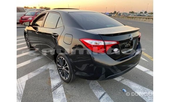 Buy Import Toyota Corolla Black Car in Import - Dubai in Bumthang Buy Import Toyota Corolla Black Car in Import - Dubai in Bumthang