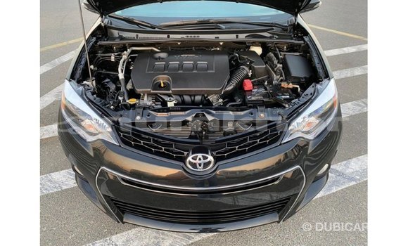 Buy Import Toyota Corolla Black Car in Import - Dubai in Bumthang Buy Import Toyota Corolla Black Car in Import - Dubai in Bumthang