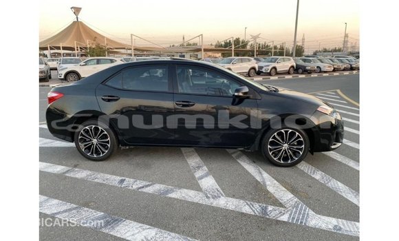 Buy Import Toyota Corolla Black Car in Import - Dubai in Bumthang Buy Import Toyota Corolla Black Car in Import - Dubai in Bumthang