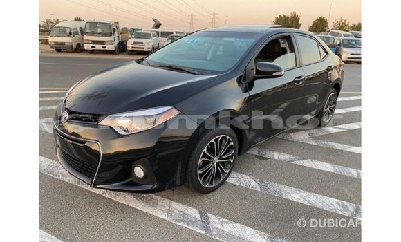Buy Import Toyota Corolla Black Car in Import - Dubai in Bumthang Buy Import Toyota Corolla Black Car in Import - Dubai in Bumthang