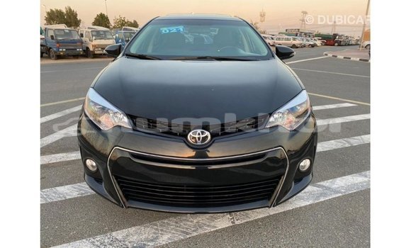 Buy Import Toyota Corolla Black Car in Import - Dubai in Bumthang Buy Import Toyota Corolla Black Car in Import - Dubai in Bumthang