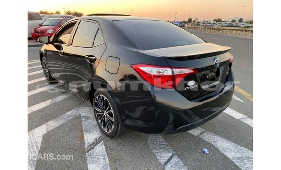 Buy Import Toyota Corolla Black Car in Import - Dubai in Bumthang Buy Import Toyota Corolla Black Car in Import - Dubai in Bumthang