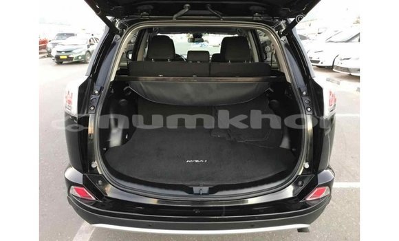 Buy Import Toyota RAV4 Black Car in Import - Dubai in Bumthang Buy Import Toyota RAV4 Black Car in Import - Dubai in Bumthang