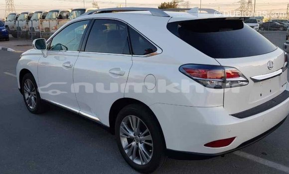 Buy Import Lexus RX 350 White Car in Import - Dubai in Bumthang Buy Import Lexus RX 350 White Car in Import - Dubai in Bumthang