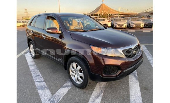 Buy Import Kia Sorento Brown Car in Import - Dubai in Bumthang Buy Import Kia Sorento Brown Car in Import - Dubai in Bumthang