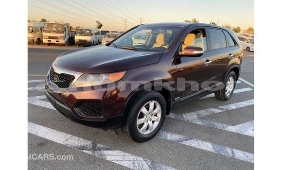 Buy Import Kia Sorento Brown Car in Import - Dubai in Bumthang Buy Import Kia Sorento Brown Car in Import - Dubai in Bumthang