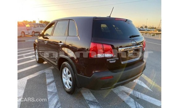 Buy Import Kia Sorento Brown Car in Import - Dubai in Bumthang Buy Import Kia Sorento Brown Car in Import - Dubai in Bumthang