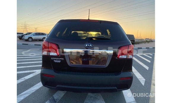 Buy Import Kia Sorento Brown Car in Import - Dubai in Bumthang Buy Import Kia Sorento Brown Car in Import - Dubai in Bumthang