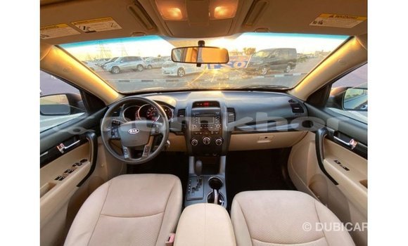 Buy Import Kia Sorento Brown Car in Import - Dubai in Bumthang Buy Import Kia Sorento Brown Car in Import - Dubai in Bumthang