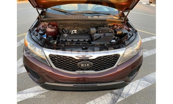 Buy Import Kia Sorento Brown Car in Import - Dubai in Bumthang Buy Import Kia Sorento Brown Car in Import - Dubai in Bumthang