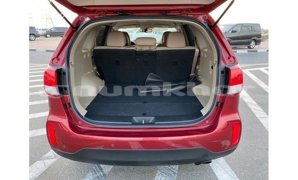 Buy Import Kia Sorento Red Car in Import - Dubai in Bumthang Buy Import Kia Sorento Red Car in Import - Dubai in Bumthang