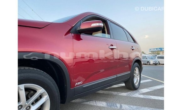 Buy Import Kia Sorento Red Car in Import - Dubai in Bumthang Buy Import Kia Sorento Red Car in Import - Dubai in Bumthang