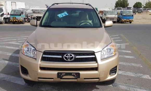 Buy Import Toyota RAV4 Other Car in Import - Dubai in Bumthang Buy Import Toyota RAV4 Other Car in Import - Dubai in Bumthang