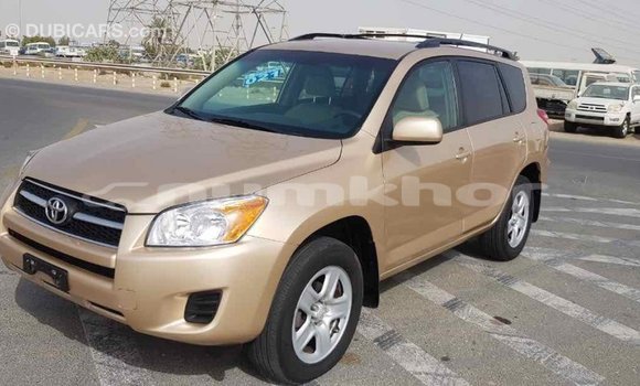 Buy Import Toyota RAV4 Other Car in Import - Dubai in Bumthang Buy Import Toyota RAV4 Other Car in Import - Dubai in Bumthang