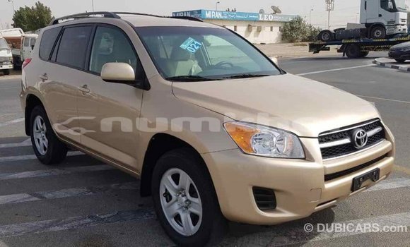 Buy Import Toyota RAV4 Other Car in Import - Dubai in Bumthang Buy Import Toyota RAV4 Other Car in Import - Dubai in Bumthang