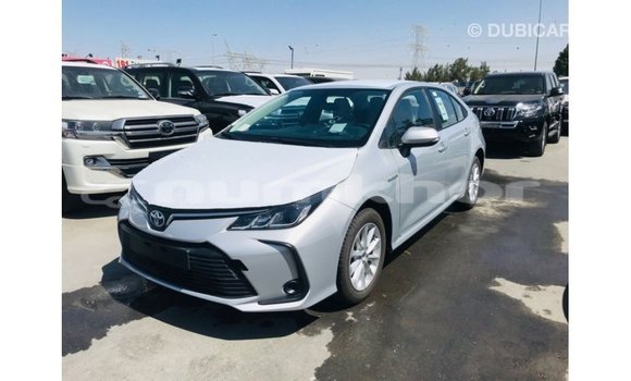 Buy Import Toyota Corolla White Car in Import - Dubai in Bumthang Buy Import Toyota Corolla White Car in Import - Dubai in Bumthang