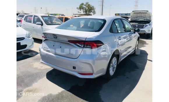 Buy Import Toyota Corolla White Car in Import - Dubai in Bumthang Buy Import Toyota Corolla White Car in Import - Dubai in Bumthang