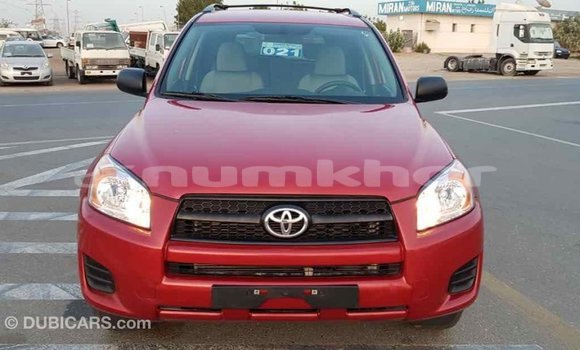 Buy Import Toyota RAV4 Red Car in Import - Dubai in Bumthang Buy Import Toyota RAV4 Red Car in Import - Dubai in Bumthang