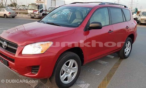Buy Import Toyota RAV4 Red Car in Import - Dubai in Bumthang Buy Import Toyota RAV4 Red Car in Import - Dubai in Bumthang