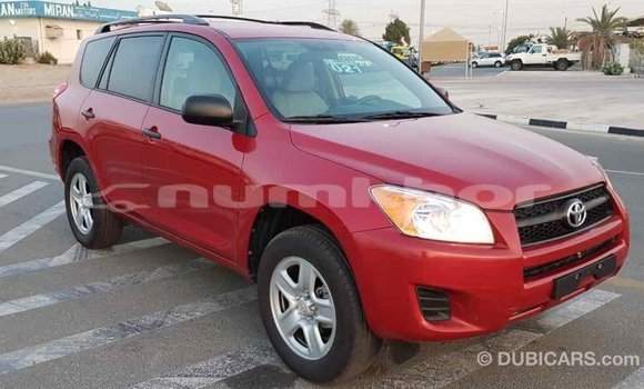 Buy Import Toyota RAV4 Red Car in Import - Dubai in Bumthang Buy Import Toyota RAV4 Red Car in Import - Dubai in Bumthang