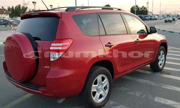 Buy Import Toyota RAV4 Red Car in Import - Dubai in Bumthang Buy Import Toyota RAV4 Red Car in Import - Dubai in Bumthang