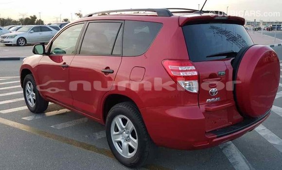 Buy Import Toyota RAV4 Red Car in Import - Dubai in Bumthang Buy Import Toyota RAV4 Red Car in Import - Dubai in Bumthang
