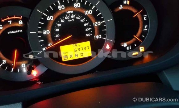 Buy Import Toyota RAV4 Red Car in Import - Dubai in Bumthang Buy Import Toyota RAV4 Red Car in Import - Dubai in Bumthang