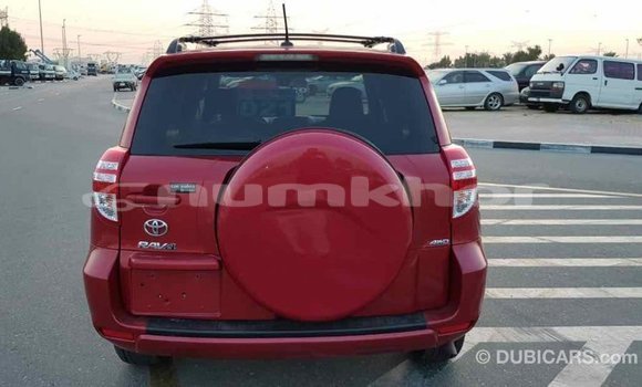 Buy Import Toyota RAV4 Red Car in Import - Dubai in Bumthang Buy Import Toyota RAV4 Red Car in Import - Dubai in Bumthang