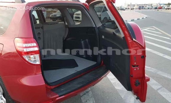 Buy Import Toyota RAV4 Red Car in Import - Dubai in Bumthang Buy Import Toyota RAV4 Red Car in Import - Dubai in Bumthang