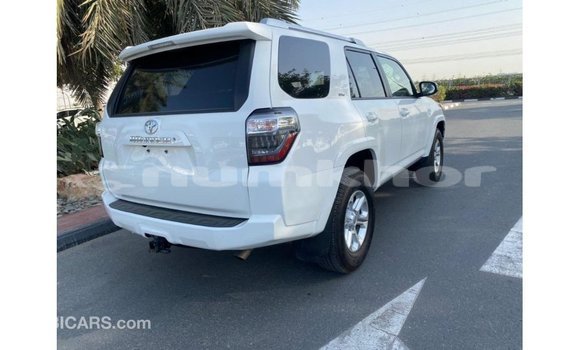 Buy Import Toyota 4Runner White Car in Import - Dubai in Bumthang Buy Import Toyota 4Runner White Car in Import - Dubai in Bumthang