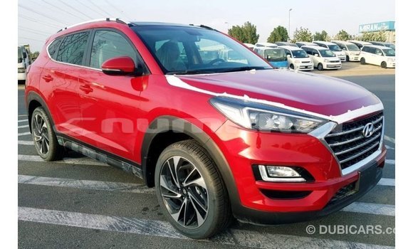 Buy Import Hyundai Tucson Red Car in Import - Dubai in Bumthang Buy Import Hyundai Tucson Red Car in Import - Dubai in Bumthang