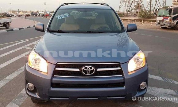 Buy Import Toyota RAV4 Blue Car in Import - Dubai in Bumthang Buy Import Toyota RAV4 Blue Car in Import - Dubai in Bumthang