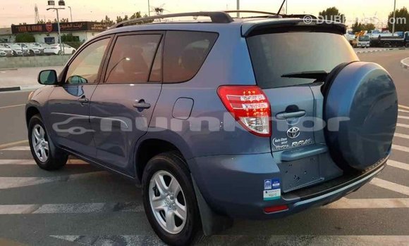 Buy Import Toyota RAV4 Blue Car in Import - Dubai in Bumthang Buy Import Toyota RAV4 Blue Car in Import - Dubai in Bumthang
