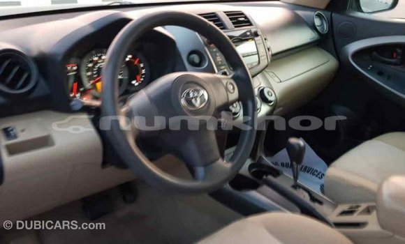 Buy Import Toyota RAV4 Blue Car in Import - Dubai in Bumthang Buy Import Toyota RAV4 Blue Car in Import - Dubai in Bumthang