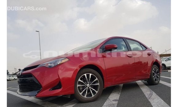 Buy Import Toyota Corolla Red Car in Import - Dubai in Bumthang Buy Import Toyota Corolla Red Car in Import - Dubai in Bumthang