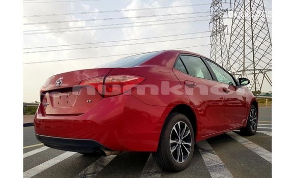 Buy Import Toyota Corolla Red Car in Import - Dubai in Bumthang Buy Import Toyota Corolla Red Car in Import - Dubai in Bumthang