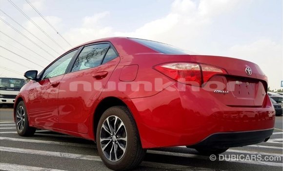 Buy Import Toyota Corolla Red Car in Import - Dubai in Bumthang Buy Import Toyota Corolla Red Car in Import - Dubai in Bumthang