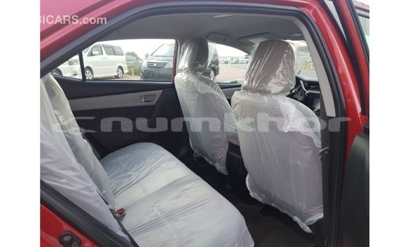 Buy Import Toyota Corolla Red Car in Import - Dubai in Bumthang Buy Import Toyota Corolla Red Car in Import - Dubai in Bumthang