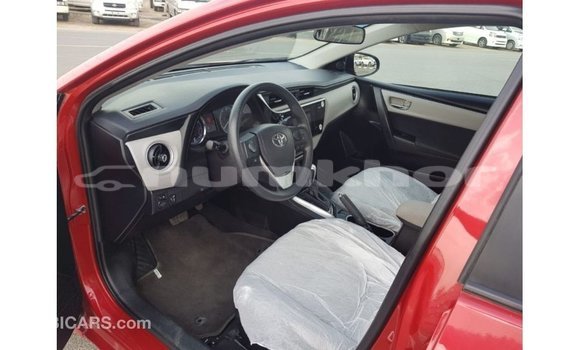 Buy Import Toyota Corolla Red Car in Import - Dubai in Bumthang Buy Import Toyota Corolla Red Car in Import - Dubai in Bumthang
