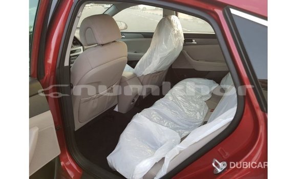 Buy Import Hyundai Sonata Red Car in Import - Dubai in Bumthang Buy Import Hyundai Sonata Red Car in Import - Dubai in Bumthang