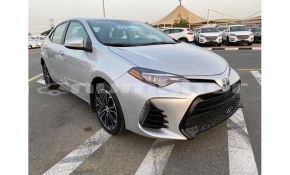 Buy Import Toyota Corolla Other Car in Import - Dubai in Bumthang Buy Import Toyota Corolla Other Car in Import - Dubai in Bumthang