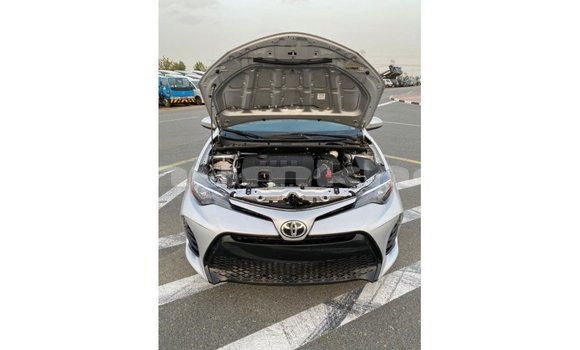 Buy Import Toyota Corolla Other Car in Import - Dubai in Bumthang Buy Import Toyota Corolla Other Car in Import - Dubai in Bumthang