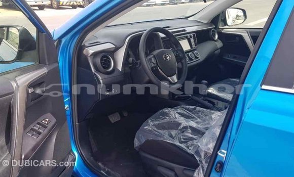 Buy Import Toyota RAV4 Blue Car in Import - Dubai in Bumthang Buy Import Toyota RAV4 Blue Car in Import - Dubai in Bumthang