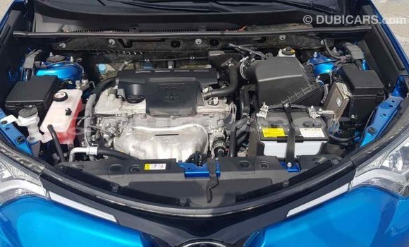 Buy Import Toyota RAV4 Blue Car in Import - Dubai in Bumthang Buy Import Toyota RAV4 Blue Car in Import - Dubai in Bumthang